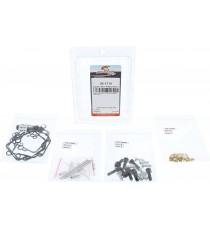 kit reparatie carburator 26-1716 ALLBALLS - 053-2111  ALLBALLS - Kit Reparatie Carburator 535,00 lei 535,00 lei 449,58 lei 44...