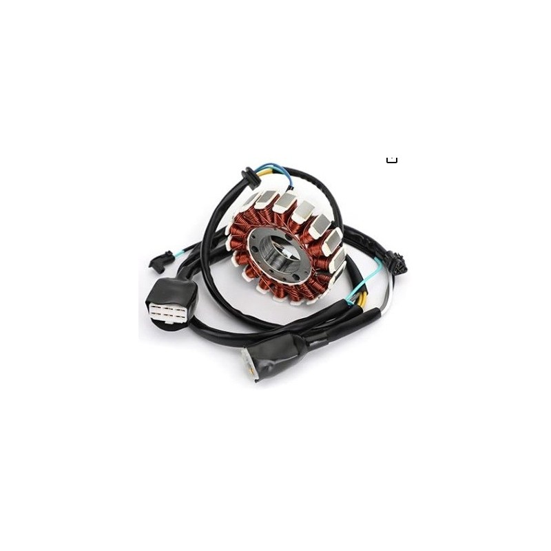 KLX250 KLX250 D-Tracker X 2008-2009/2011-2016 Kawasaki Magneto Coil Generator Stator Alternator Bobina K079-998  Alternator S...