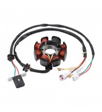 KTM 250 EXC-F 300 XC-W400 520 525 /Husqvarna TX125 TC 250 TE150 TE250 TE300 Magneto Coil Generator Stator Alternator Bobina K...