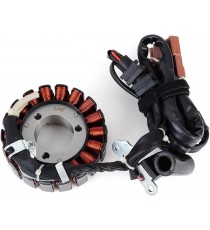 Aprilia Atlantic Scarabeo SR300 Sport city / Derbi GP1 Rambla 125 Gilera Nexus Magneto Coil Generator Stator Alternator Bobin...