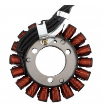 NSS250 Forza 250 MF06 Jazz Reflex 2004 2005 2006 2007 Honda Magneto Coil Generator Stator Alternator Bobina K079-1033  Altern...